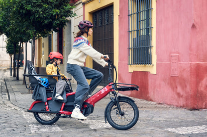 Riese & Müller | Multitinker2 - Vario