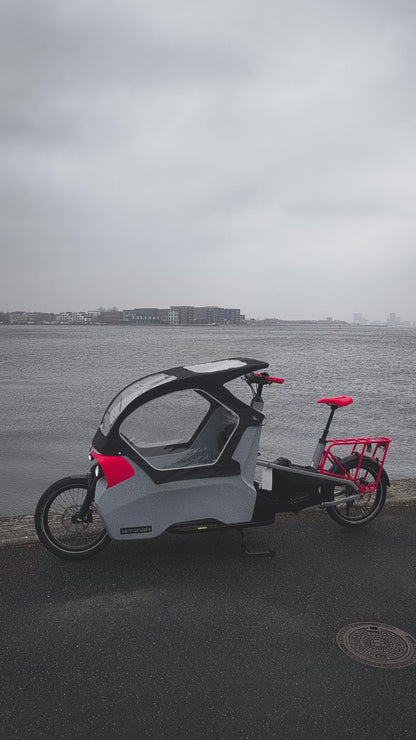 Cannondale Wonderwagen Neo 2