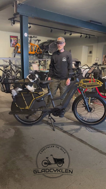 Riese & müller Multicharger3 Vario HS (45 Km/T)