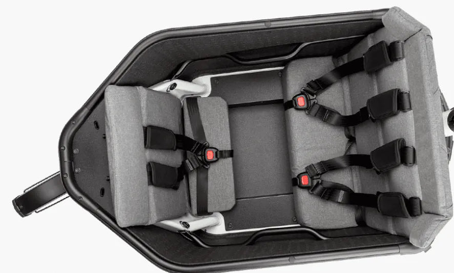 Riese & Müller Packster2 70