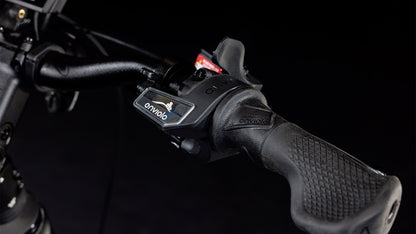 CUBE | Trike Cargo Hybrid 750